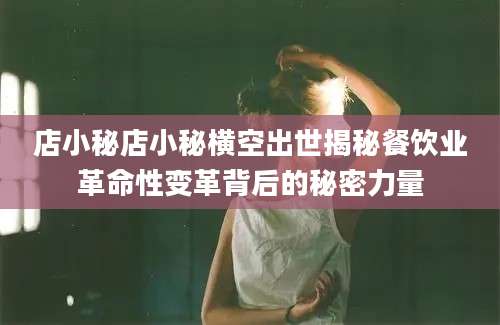 店小秘店小秘横空出世揭秘餐饮业革命性变革背后的秘密力量