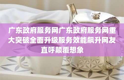 广东政府服务网广东政府服务网重大突破全面升级服务效能飙升网友直呼颠覆想象