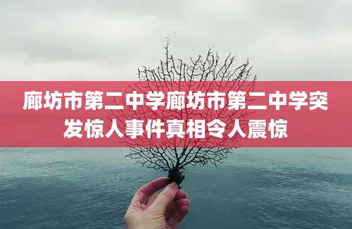 廊坊市第二中学廊坊市第二中学突发惊人事件真相令人震惊