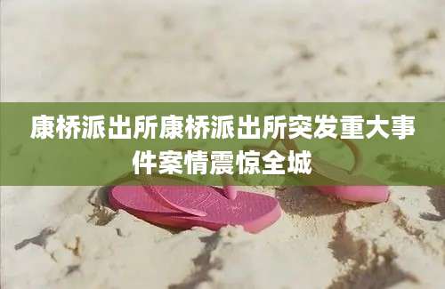 康桥派出所康桥派出所突发重大事件案情震惊全城