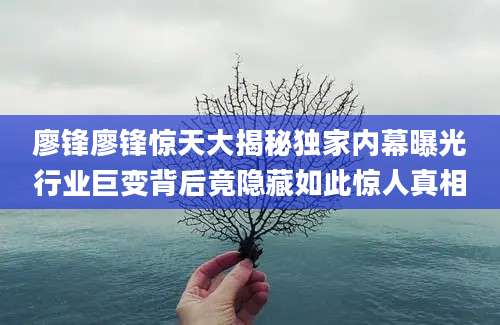 廖锋廖锋惊天大揭秘独家内幕曝光行业巨变背后竟隐藏如此惊人真相