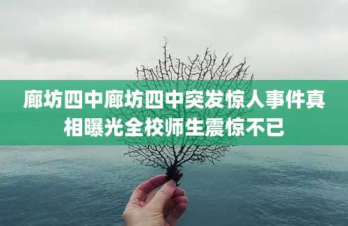 廊坊四中廊坊四中突发惊人事件真相曝光全校师生震惊不已