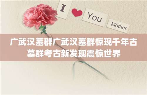 广武汉墓群广武汉墓群惊现千年古墓群考古新发现震惊世界