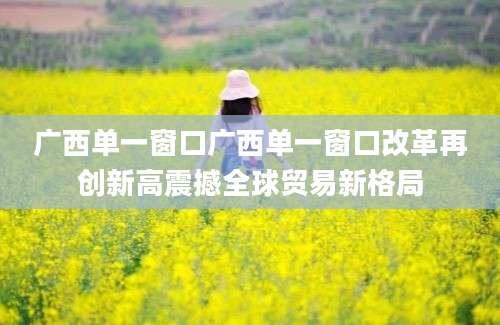 广西单一窗口广西单一窗口改革再创新高震撼全球贸易新格局