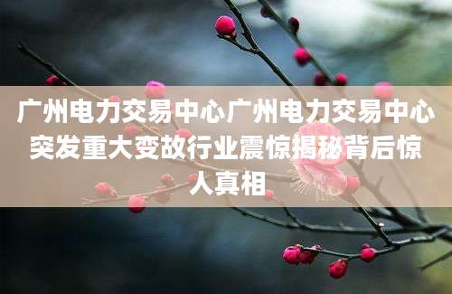 广州电力交易中心广州电力交易中心突发重大变故行业震惊揭秘背后惊人真相