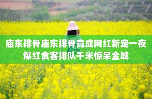 庙东排骨庙东排骨竟成网红新宠一夜爆红食客排队千米惊呆全城