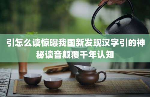 引怎么读惊曝我国新发现汉字引的神秘读音颠覆千年认知
