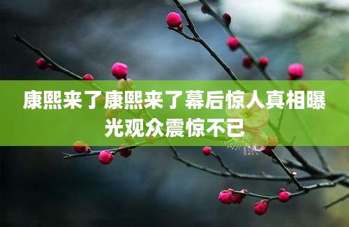 康熙来了康熙来了幕后惊人真相曝光观众震惊不已