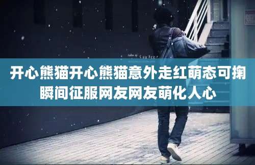 开心熊猫开心熊猫意外走红萌态可掬瞬间征服网友网友萌化人心