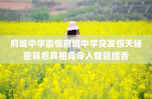 府城中学震惊府城中学突发惊天秘密背后真相竟令人瞠目结舌