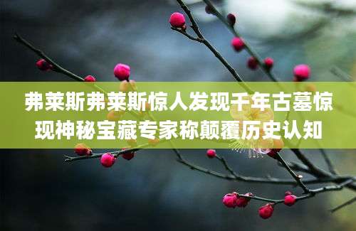 弗莱斯弗莱斯惊人发现千年古墓惊现神秘宝藏专家称颠覆历史认知