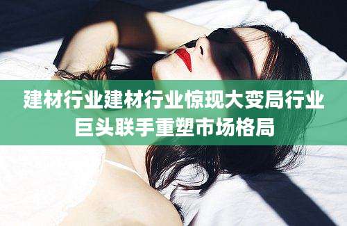 建材行业建材行业惊现大变局行业巨头联手重塑市场格局