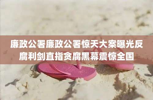 廉政公署廉政公署惊天大案曝光反腐利剑直指贪腐黑幕震惊全国
