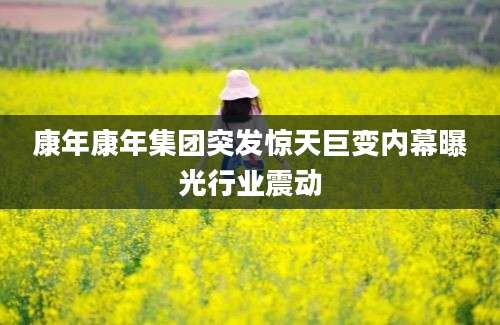 康年康年集团突发惊天巨变内幕曝光行业震动