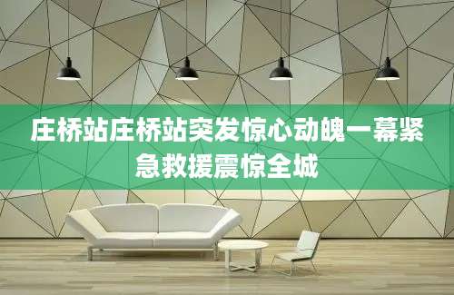 庄桥站庄桥站突发惊心动魄一幕紧急救援震惊全城