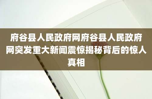 府谷县人民政府网府谷县人民政府网突发重大新闻震惊揭秘背后的惊人真相