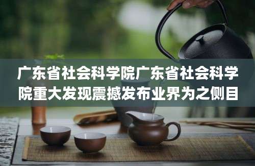 广东省社会科学院广东省社会科学院重大发现震撼发布业界为之侧目