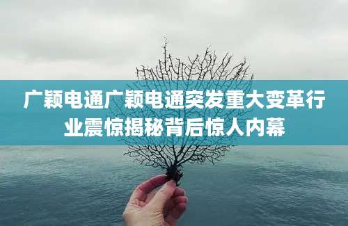 广颖电通广颖电通突发重大变革行业震惊揭秘背后惊人内幕