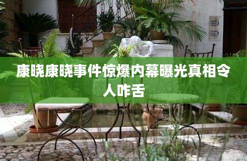 康晓康晓事件惊爆内幕曝光真相令人咋舌