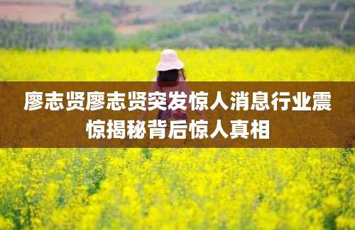 廖志贤廖志贤突发惊人消息行业震惊揭秘背后惊人真相