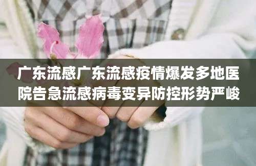 广东流感广东流感疫情爆发多地医院告急流感病毒变异防控形势严峻