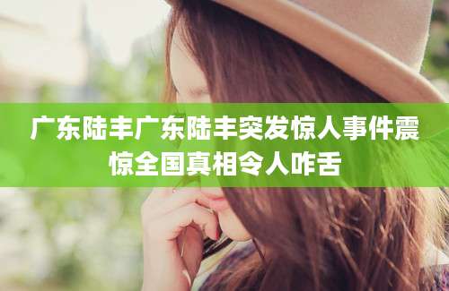 广东陆丰广东陆丰突发惊人事件震惊全国真相令人咋舌