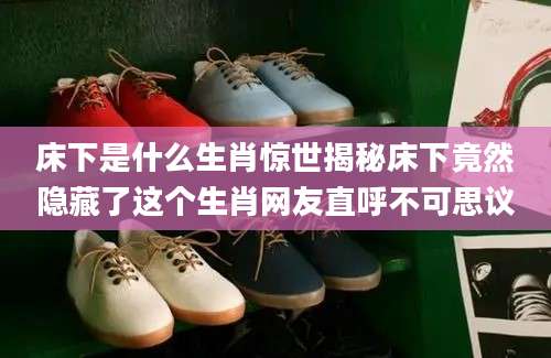 床下是什么生肖惊世揭秘床下竟然隐藏了这个生肖网友直呼不可思议