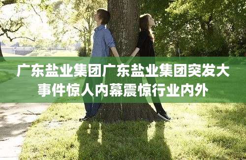 广东盐业集团广东盐业集团突发大事件惊人内幕震惊行业内外
