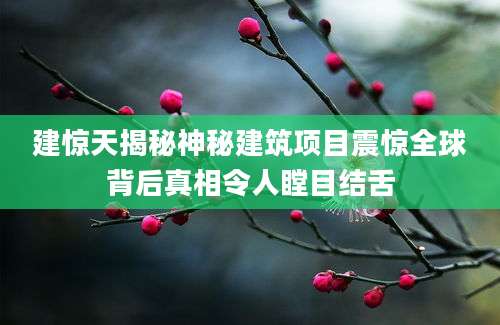 建惊天揭秘神秘建筑项目震惊全球背后真相令人瞠目结舌