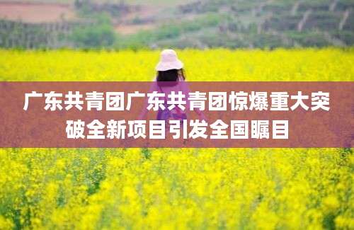 广东共青团广东共青团惊爆重大突破全新项目引发全国瞩目