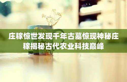 庄稼惊世发现千年古墓惊现神秘庄稼揭秘古代农业科技巅峰