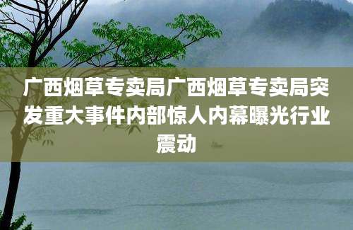 广西烟草专卖局广西烟草专卖局突发重大事件内部惊人内幕曝光行业震动