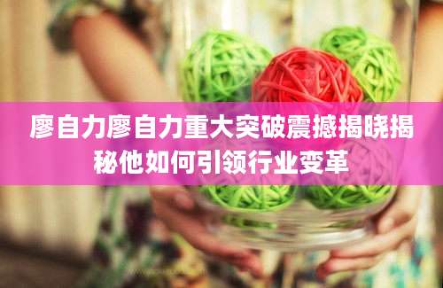廖自力廖自力重大突破震撼揭晓揭秘他如何引领行业变革