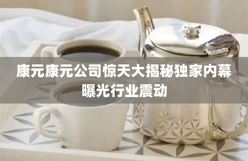 康元康元公司惊天大揭秘独家内幕曝光行业震动