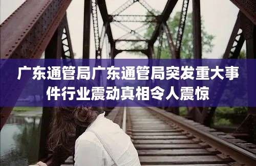 广东通管局广东通管局突发重大事件行业震动真相令人震惊