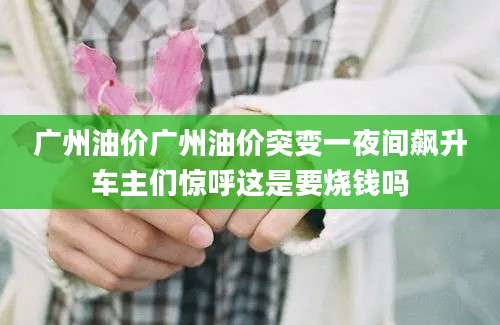 广州油价广州油价突变一夜间飙升车主们惊呼这是要烧钱吗
