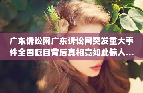 广东诉讼网广东诉讼网突发重大事件全国瞩目背后真相竟如此惊人...
