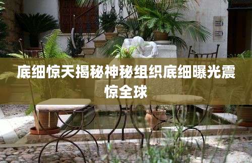 底细惊天揭秘神秘组织底细曝光震惊全球