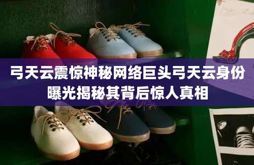 弓天云震惊神秘网络巨头弓天云身份曝光揭秘其背后惊人真相