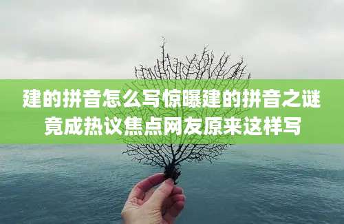 建的拼音怎么写惊曝建的拼音之谜竟成热议焦点网友原来这样写