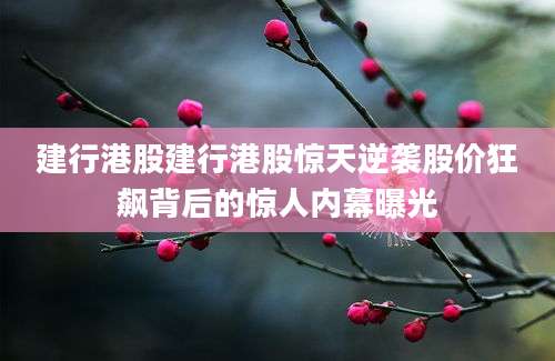 建行港股建行港股惊天逆袭股价狂飙背后的惊人内幕曝光