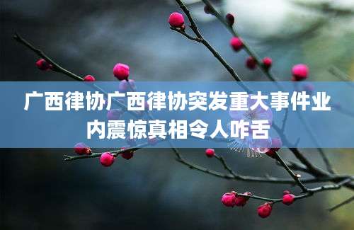 广西律协广西律协突发重大事件业内震惊真相令人咋舌