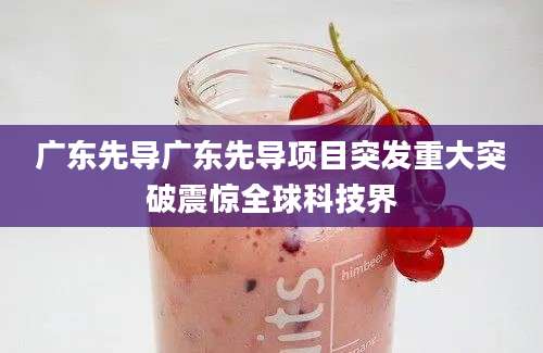 广东先导广东先导项目突发重大突破震惊全球科技界