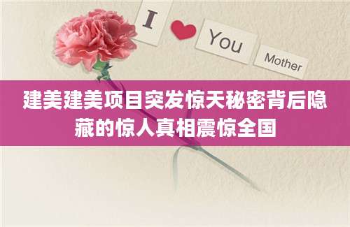 建美建美项目突发惊天秘密背后隐藏的惊人真相震惊全国