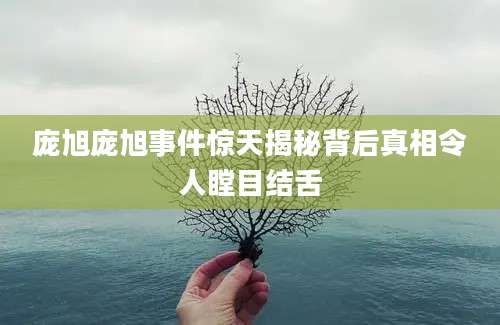 庞旭庞旭事件惊天揭秘背后真相令人瞠目结舌