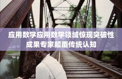 应用数学应用数学领域惊现突破性成果专家颠覆传统认知