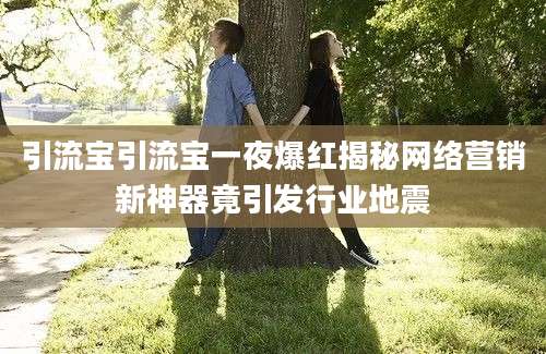 引流宝引流宝一夜爆红揭秘网络营销新神器竟引发行业地震