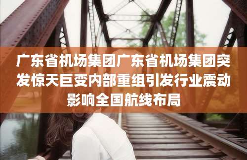 广东省机场集团广东省机场集团突发惊天巨变内部重组引发行业震动影响全国航线布局