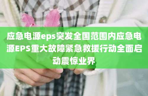 应急电源eps突发全国范围内应急电源EPS重大故障紧急救援行动全面启动震惊业界