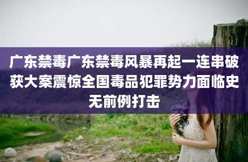 广东禁毒广东禁毒风暴再起一连串破获大案震惊全国毒品犯罪势力面临史无前例打击